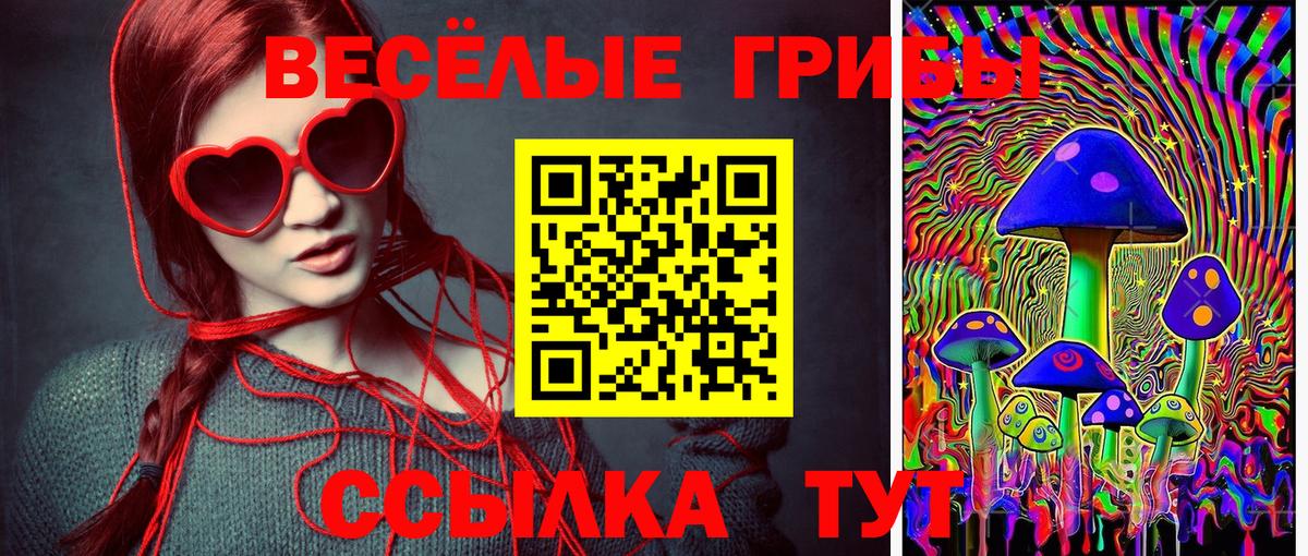 Галлюциногенные грибы мицелий  Вход с VPN  Калининград 
